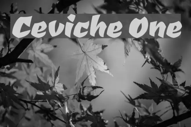 Ceviche One フォント examples