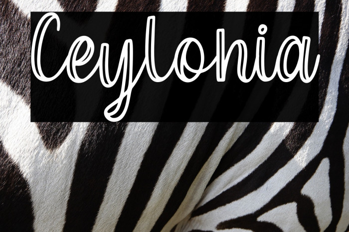 Ceylonia Example 1