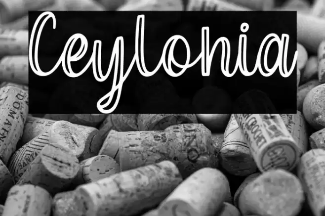 Ceylonia Font examples