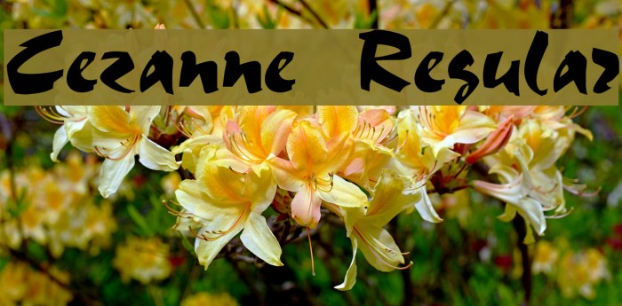 Cezanne Regular Caratteri examples