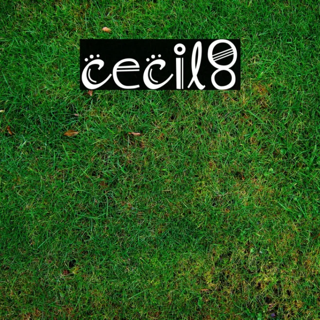 cecil8 Example 1