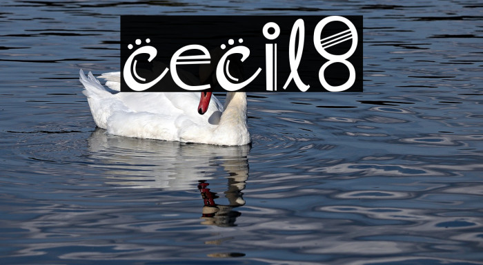 cecil8 Font examples