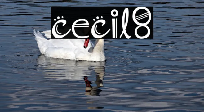 cecil8 Example 3