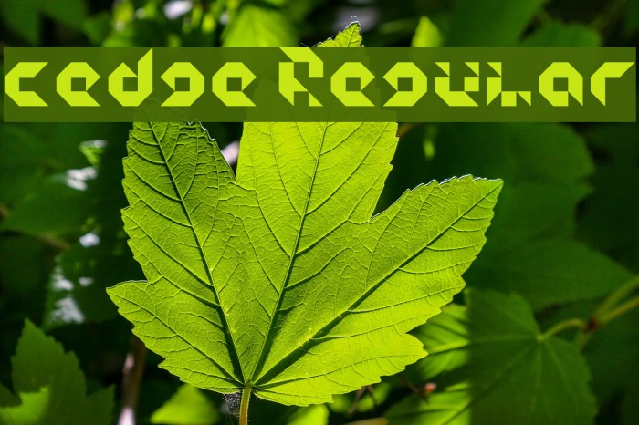 cedge1 Regular Font examples