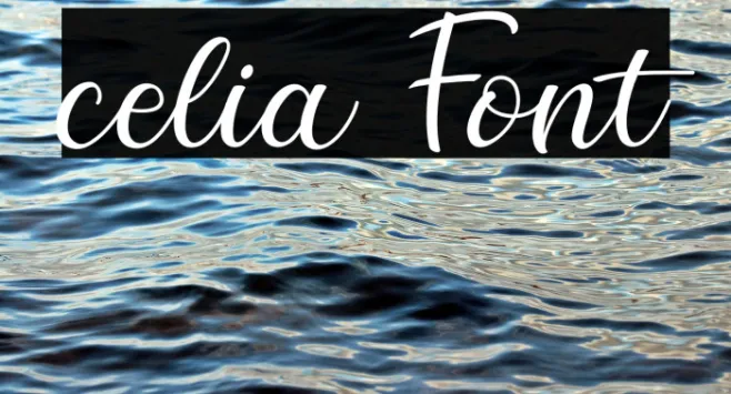 celia Example 1