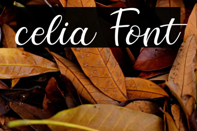 celia Example 2
