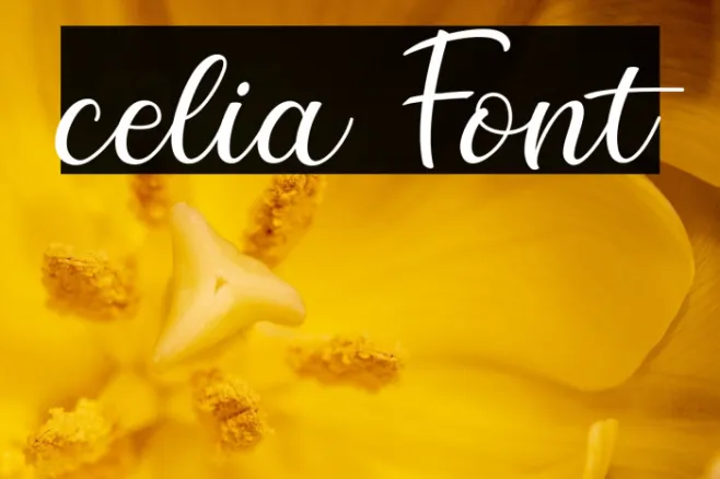 celia Example 3