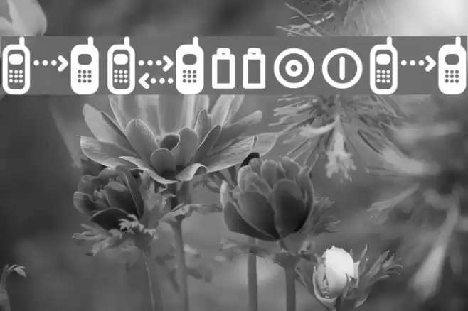 cellpic Font examples