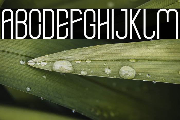 central city Example 1