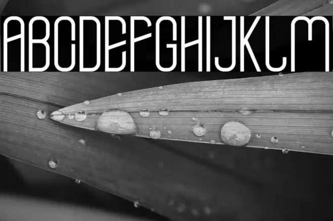 central city Font examples