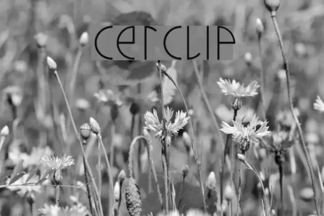 cerclip Font examples