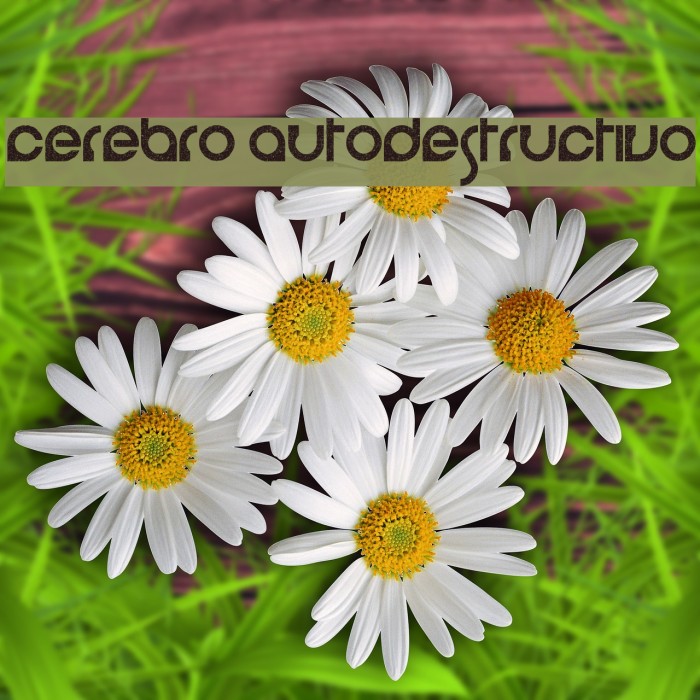 cerebro autodestructivo Font examples