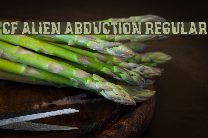 CF Alien Abduction Regular Font examples