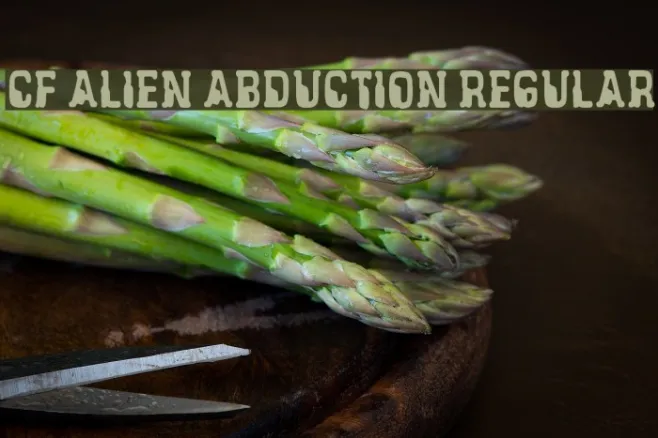 CF Alien Abduction Regular Example 1