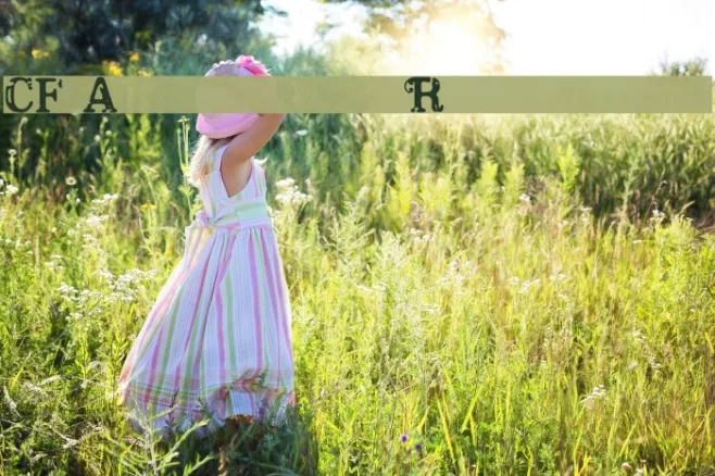 CF America Regular Example 3