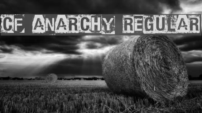 CF Anarchy Regular Font examples