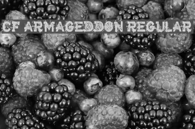 CF Armageddon Regular フォント examples