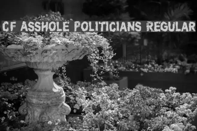 CF Asshole Politicians Regular Font examples