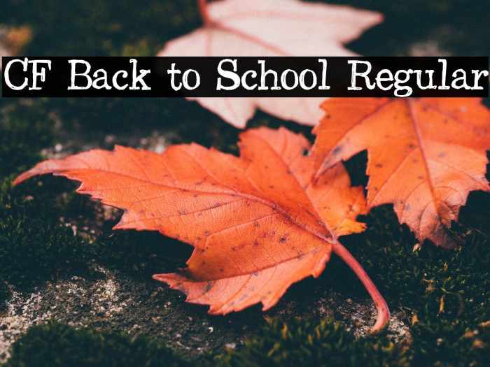 CF Back to School Regular Font examples