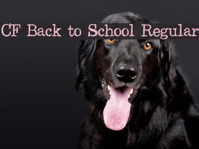 CF Back to School Regular Font examples