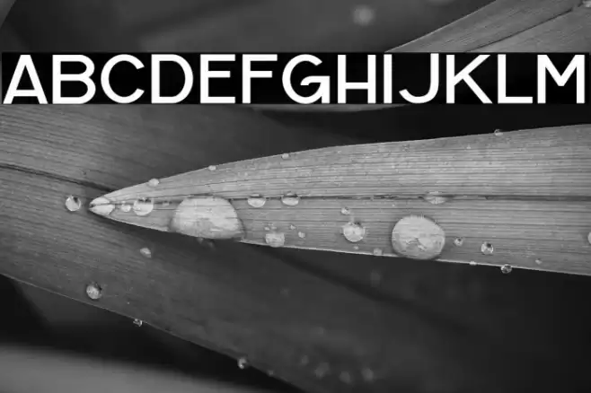 CF Baron Rouge Normal Font examples