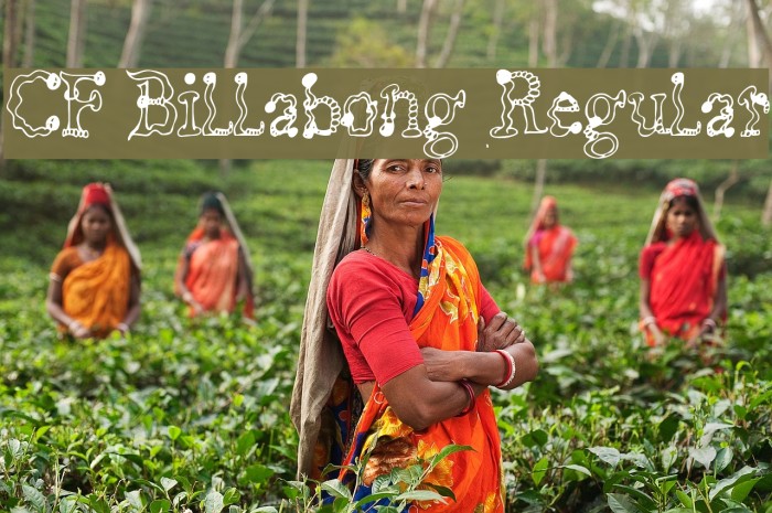 CF Billabong Regular Шрифта examples