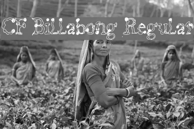 CF Billabong Regular Font examples