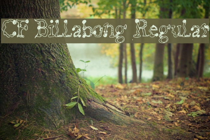 CF Billabong Regular Шрифта examples