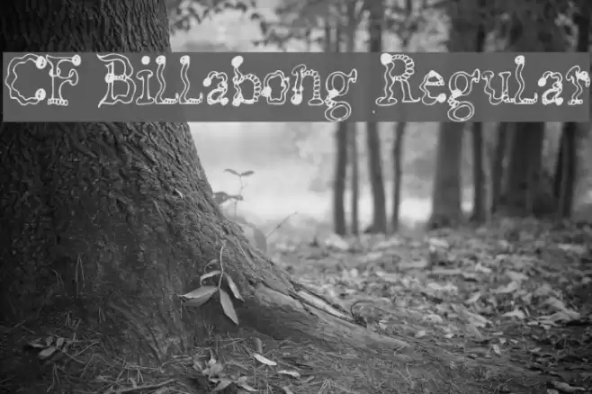 CF Billabong Regular Font examples