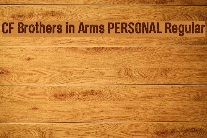CF Brothers in Arms PERSONAL Regular لخطوط تنزيل examples