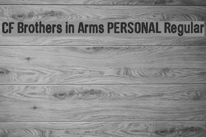 CF Brothers in Arms PERSONAL Regular خط examples