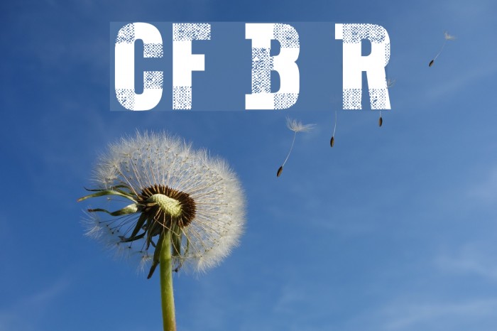 CF Bucherons Regular Font examples