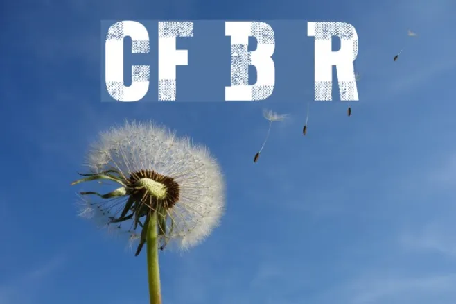 CF Bucherons Regular Example 2