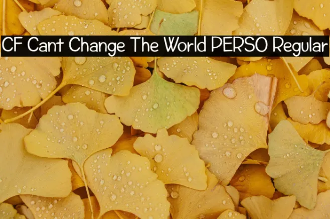 CF Cant Change The World PERSO Regular Example 1