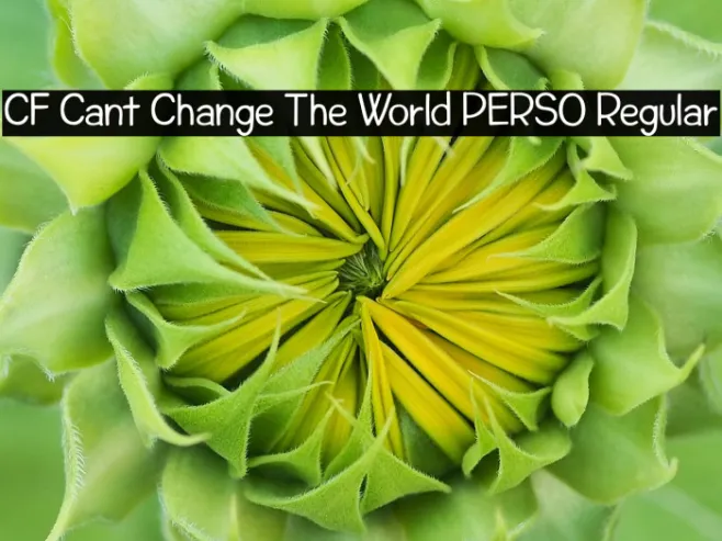 CF Cant Change The World PERSO Regular Example 2