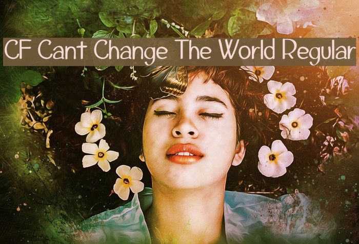 CF Cant Change The World Regular Font examples