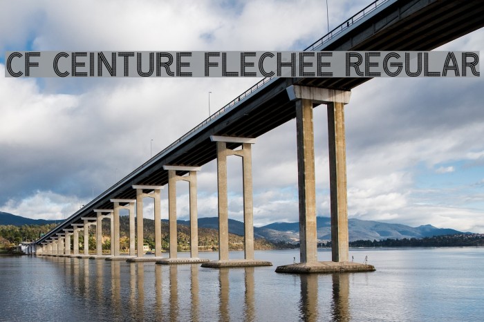 CF Ceinture Flechee Regular Font examples