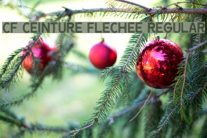 CF Ceinture Flechee Regular Font examples