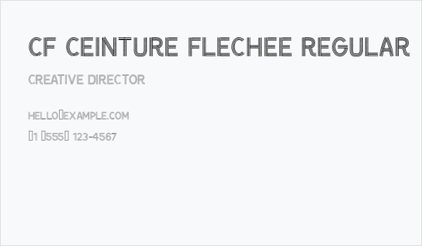 CF Ceinture Flechee Regular Business Card