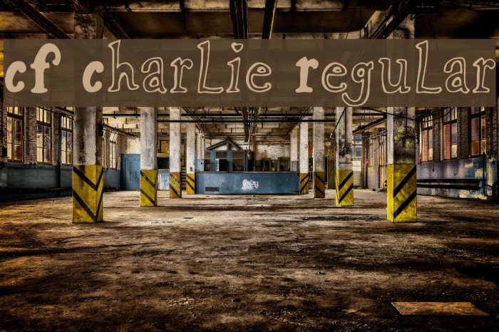 CF Charlie Regular Example 2