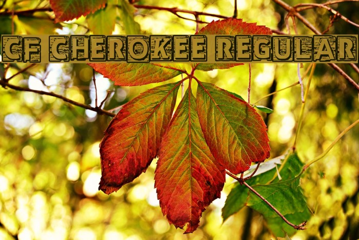 CF Cherokee Regular Font examples