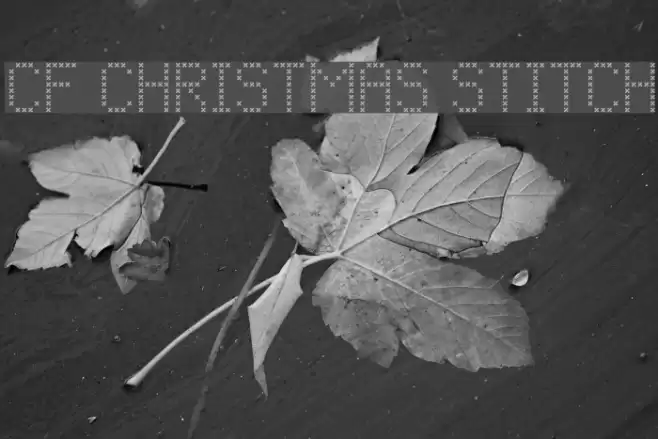 CF Christmas Stitch Font examples