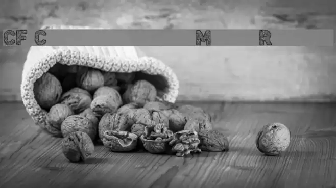 CF Civilisation Maya Regular Font examples