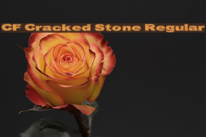 CF Cracked Stone Regular Font examples