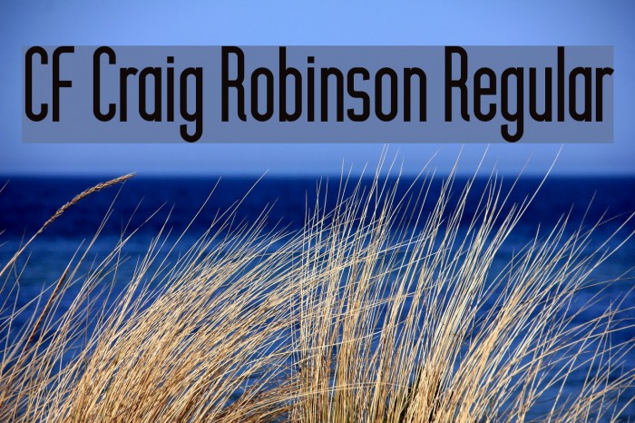 CF Craig Robinson Regular Font examples