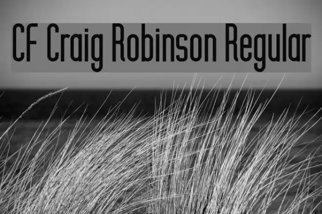 CF Craig Robinson Regular Font examples