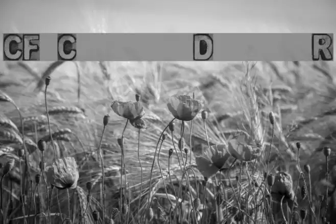 CF Creature of Darkness Regular Font examples