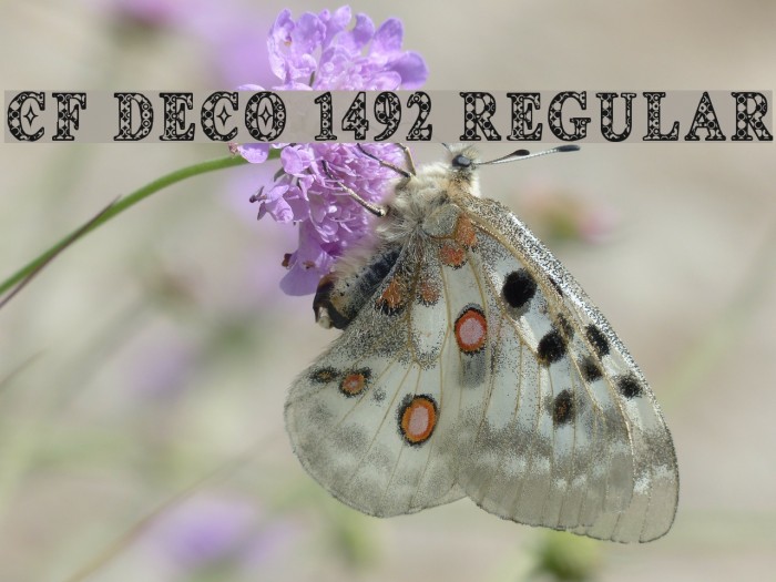 CF Deco 1492 Regular Font examples