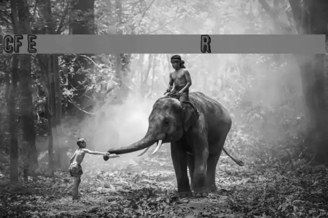 CF Engraved Regular Font examples