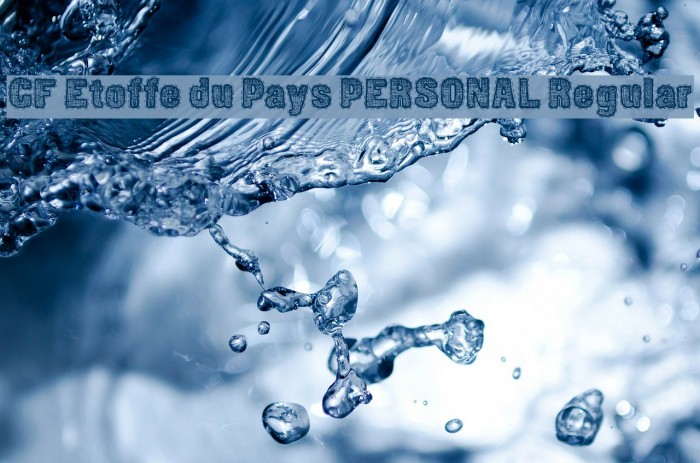 CF Etoffe du Pays PERSONAL Regular Font examples